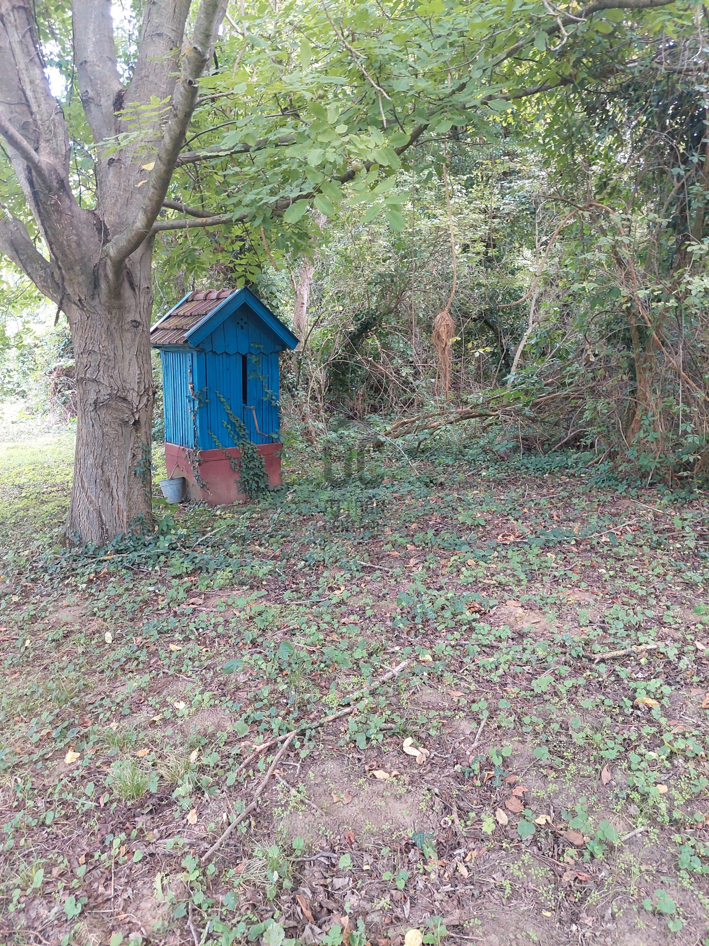 Gallery zoom image
