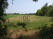 Index image