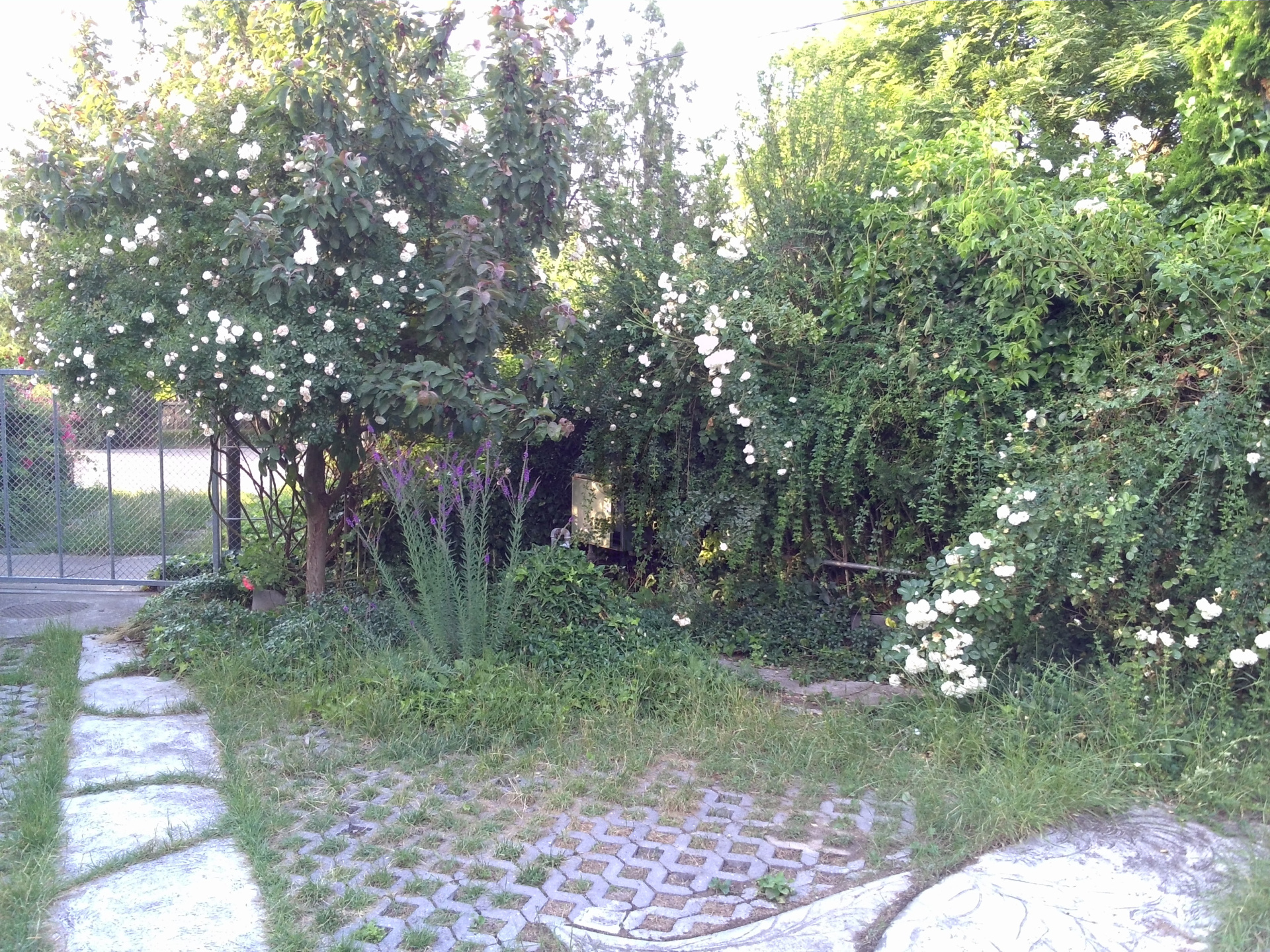 Gallery zoom image