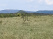 Index image
