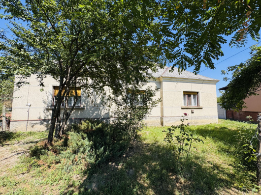 Index image