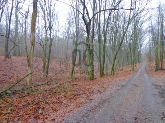 Index image