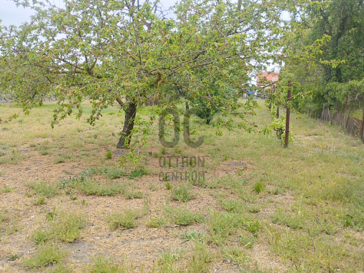 Index image