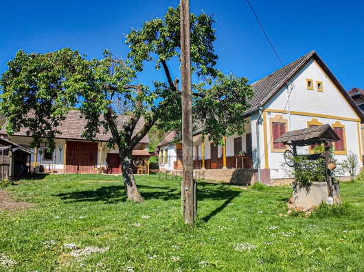 Index image