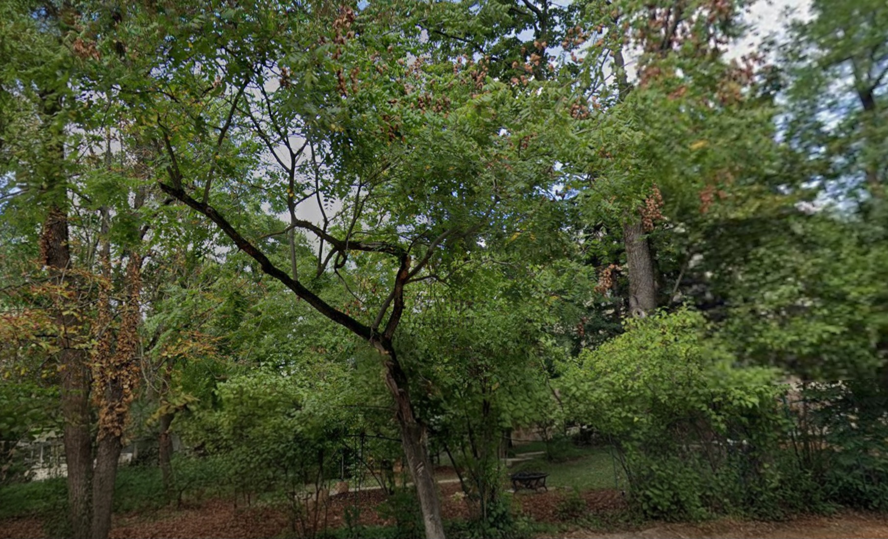 Gallery zoom image