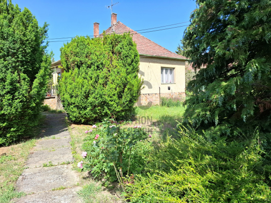 Index image