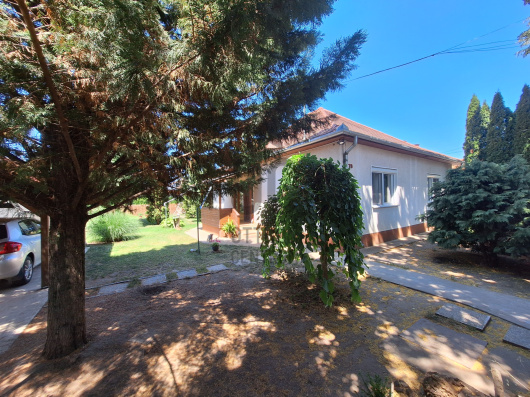 Index image