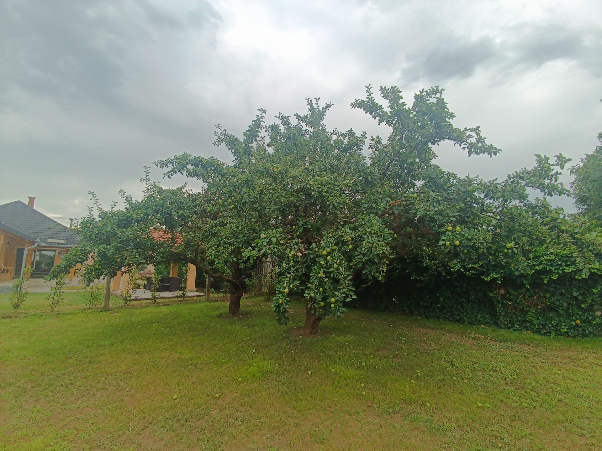 Gallery zoom image