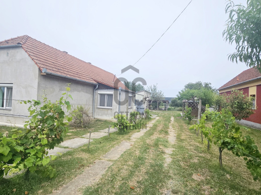 Index image