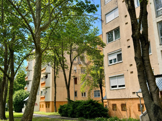 Index image