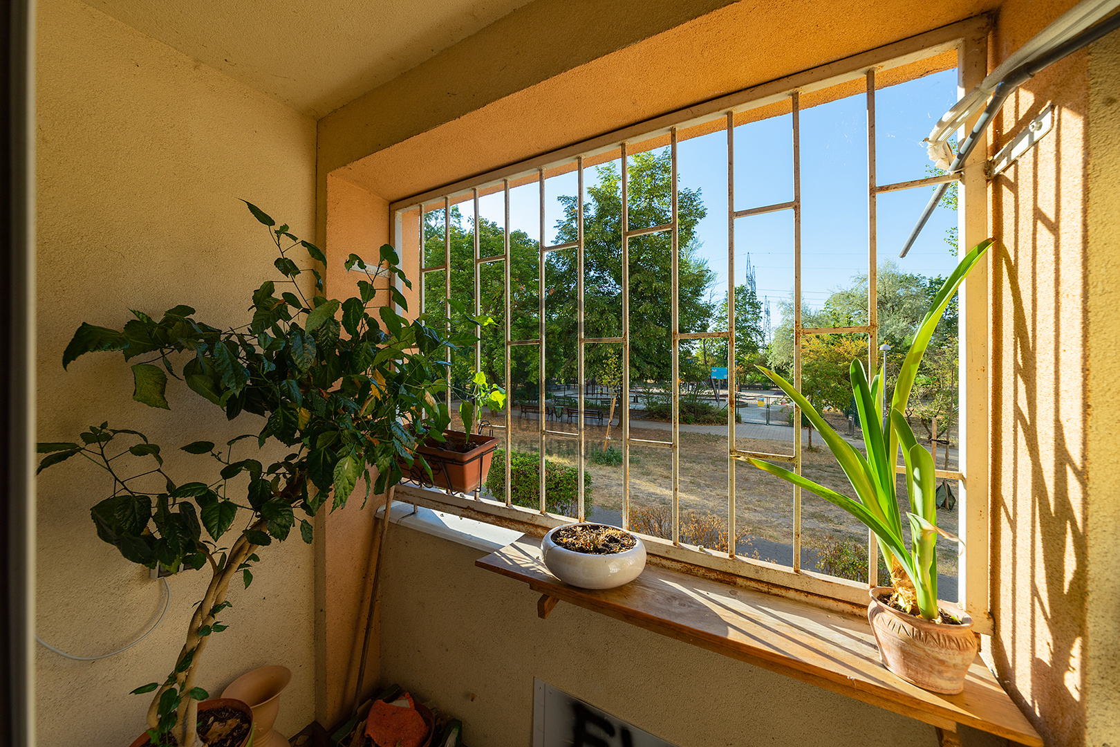 Gallery zoom image