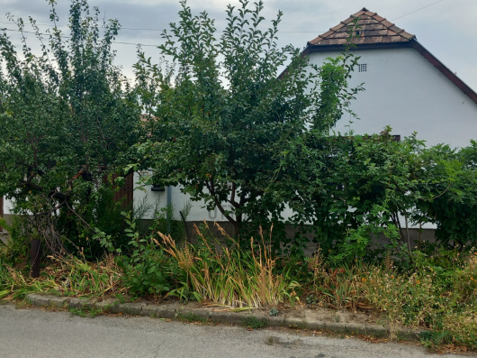 Index image