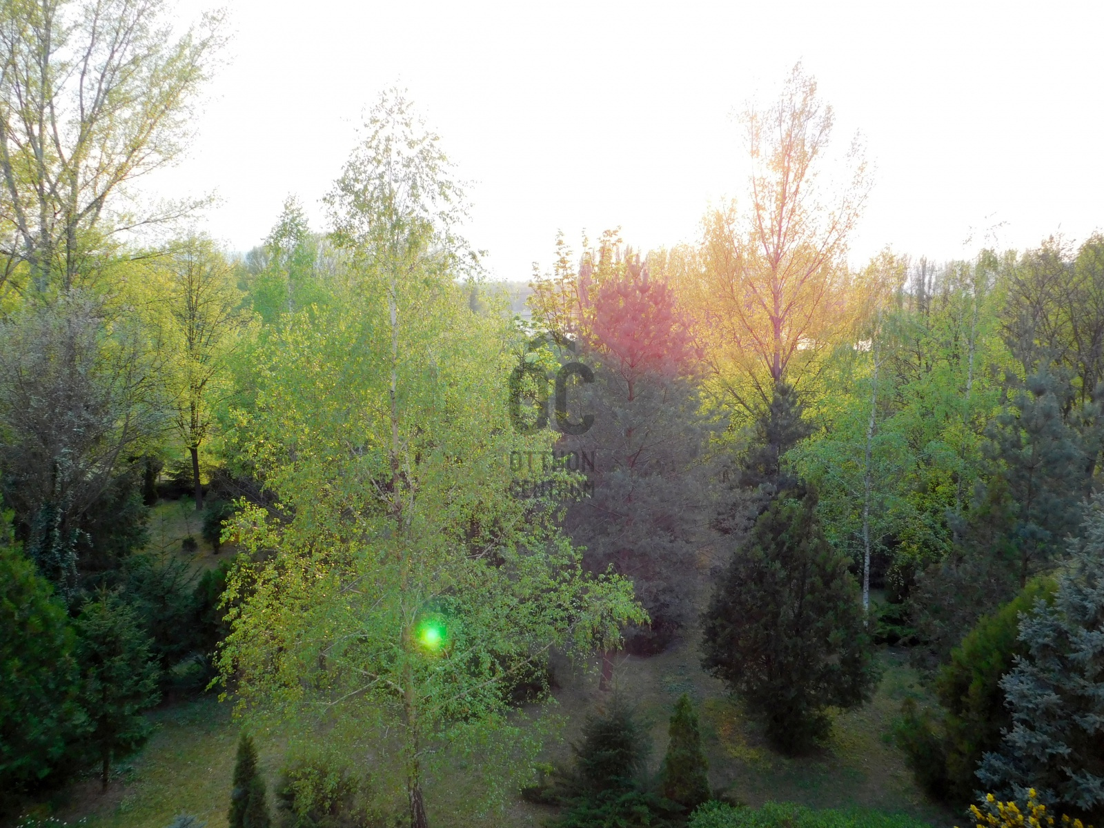 Gallery zoom image